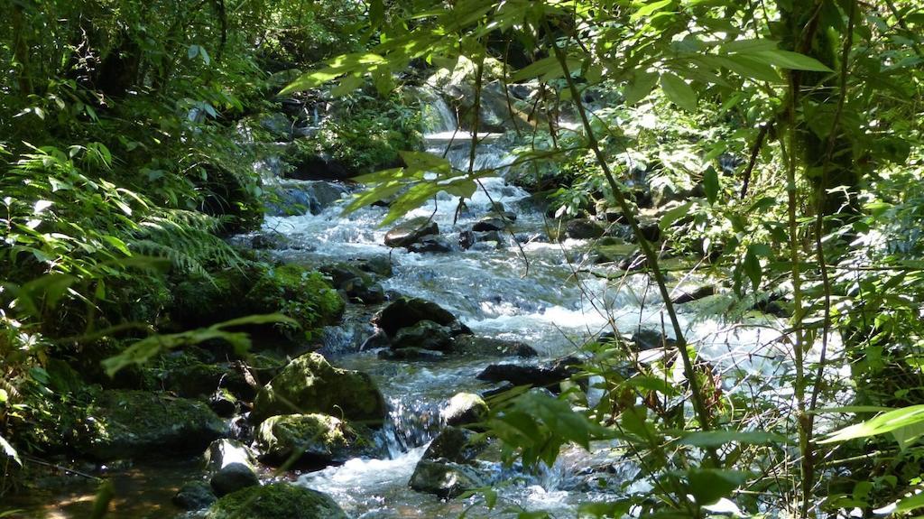 Hotel Terra Do Sempre - Reserva Ambiental São Francisco de Paula Esterno foto